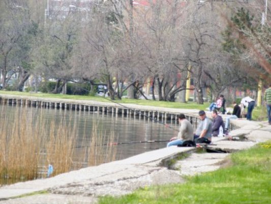 Ziua verde la Constanţa: acţiune de ecologizare în zona Lacul Tăbăcăriei